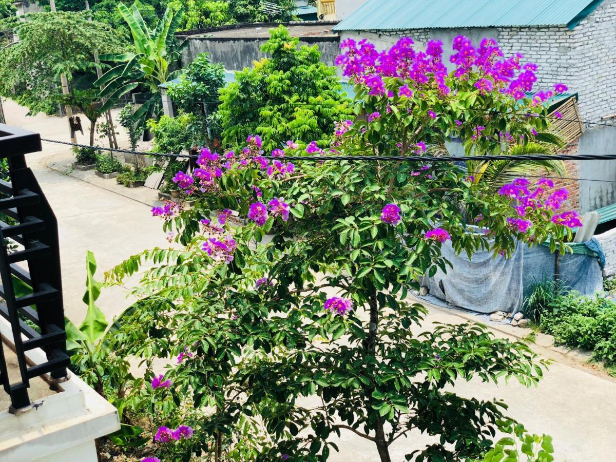 Ninh Binh Brother'S Homestay Eksteriør billede
