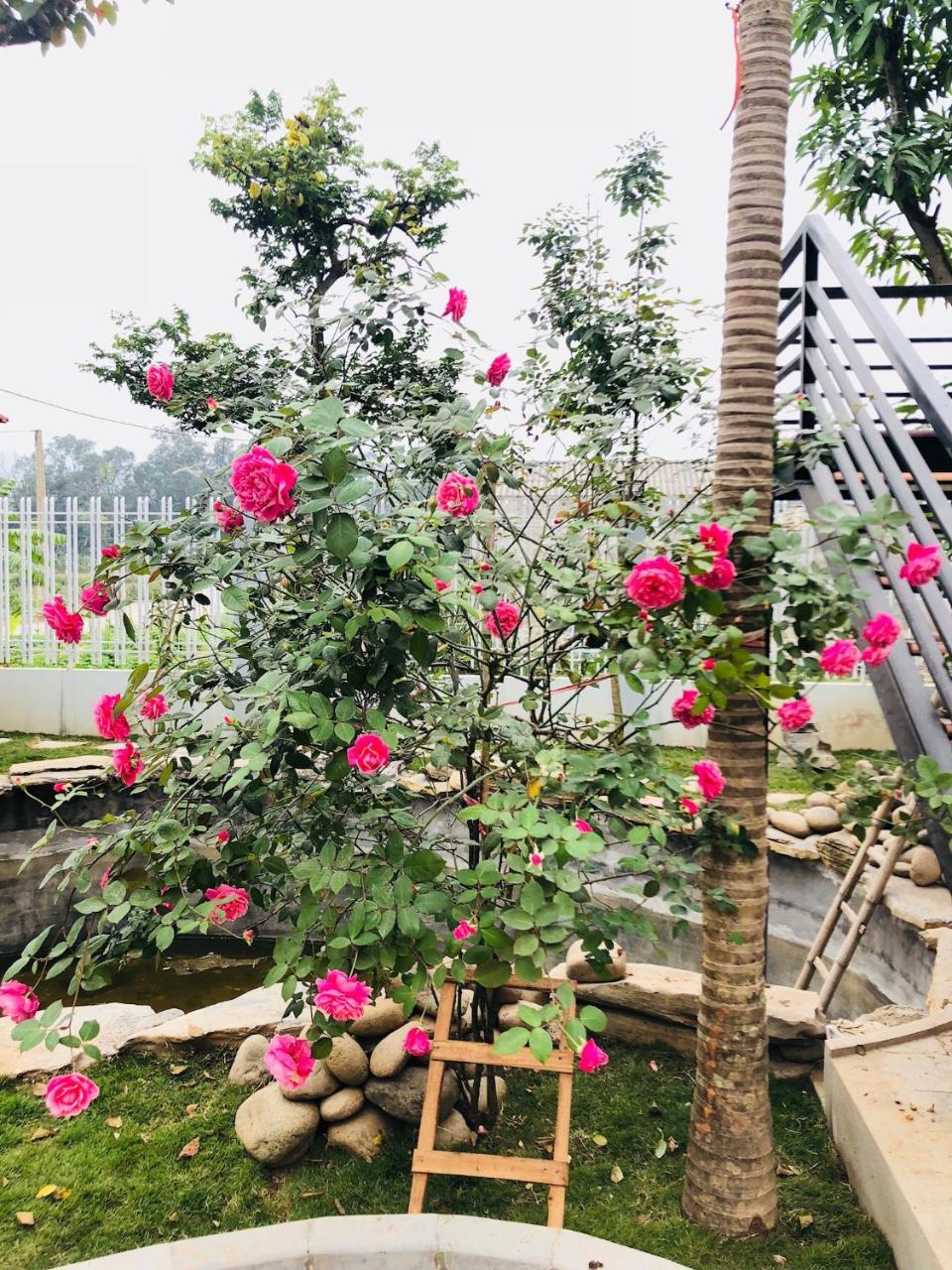 Ninh Binh Brother'S Homestay Eksteriør billede