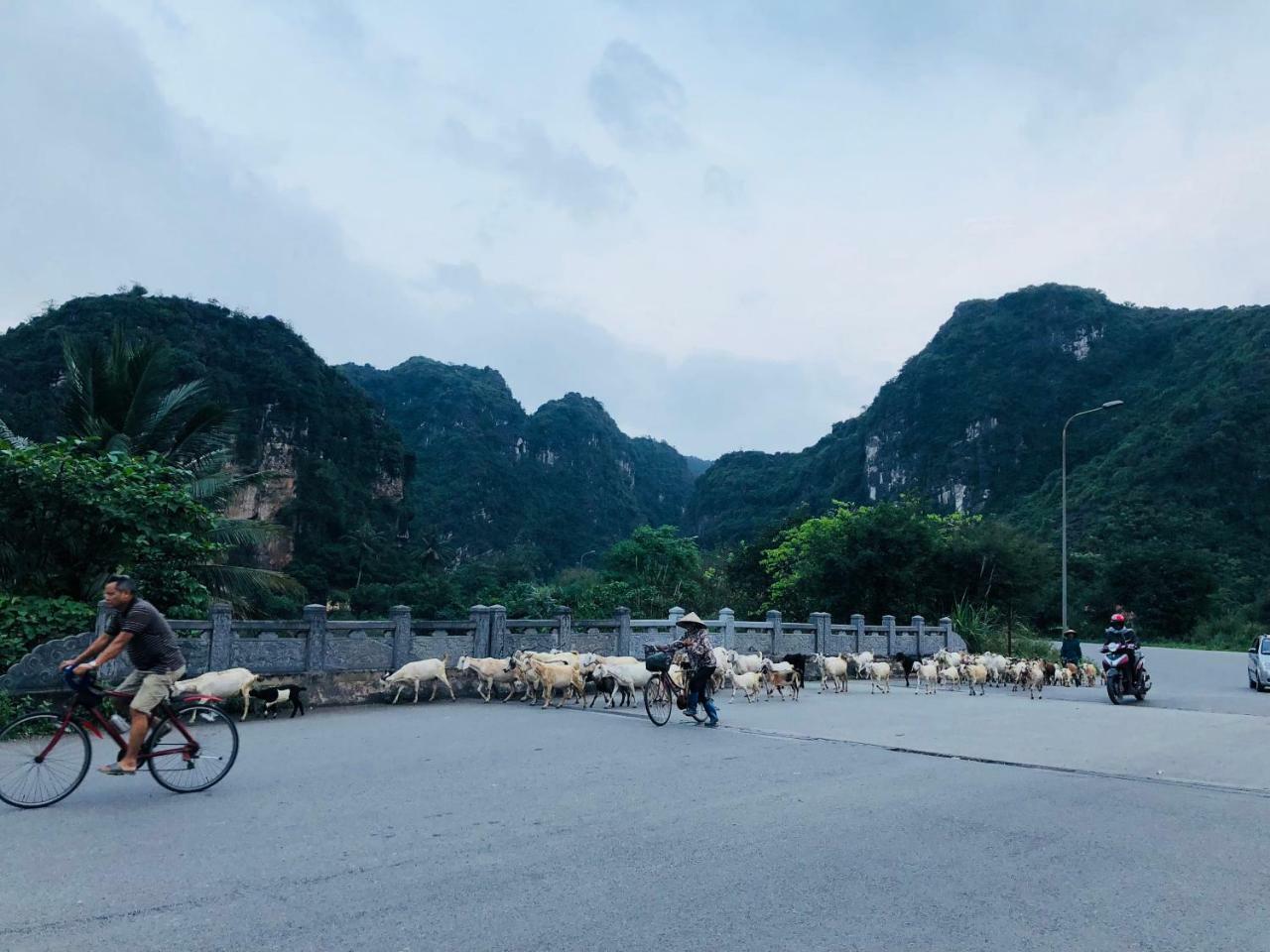 Ninh Binh Brother'S Homestay Eksteriør billede