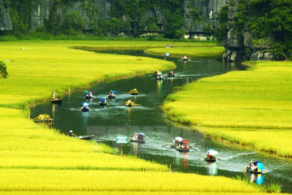 Ninh Binh Brother'S Homestay Eksteriør billede